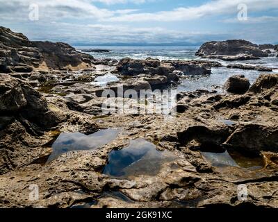 In der Gezeitenzone des Botanischen Strandes, Juan de Fuca Provincial Park auf Vancouver Island, British Columbia, bildeten sich in Sandstein und Wellen Gezeitenbecken. Stockfoto