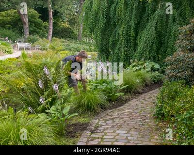 Gärtner bei der Arbeit im Botanischen Garten Flottbek, Deutschland, Hamburg-Flottbek Stockfoto