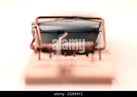 Mausefalle und Handy, Telefonservice Stockfoto