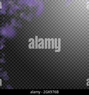 Violette Blütenblätter fallen herunter. Wunderschöne romantische Blumenecke. Fliegendes Blütenblatt auf transparentem quadratischem Hintergrund. Liebe, Romantik Konzept. Bewunderungswert Stock Vektor