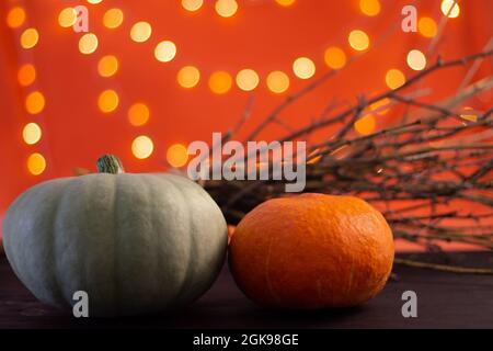 Zweige und Halloween Kürbisse auf orangefarbenem Hintergrund mit Bokeh. Speicherplatz kopieren. Stockfoto