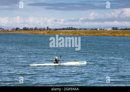 Älterer Herr paddelt seinen dünnen Kajak im Frazer River Delta in der Nähe von Ladner British Columbia, Kanada Stockfoto