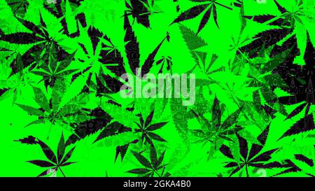 Ein abstraktes Hintergrundbild mit Cannabisblatt-Muster. Stockfoto