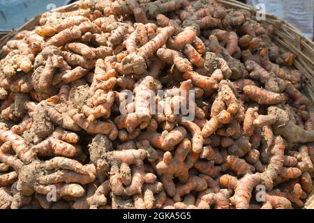 Viele Gingers wurden in Bambuskörbe verpackt und bereit, an Verbraucher verkauft zu werden. Täglich notwendiges Gemüse auf der Straße verkauft. Dhaka, Bangladesch. Novemb Stockfoto