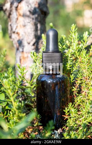 Eine Tropfflasche aus braunem Glas mit Serum, ätherischem Öl oder einem anderen kosmetischen Produkt im Freien im Wald. Natürliches organisches Spa, kosmetisches Schönheitskonzept. Stockfoto