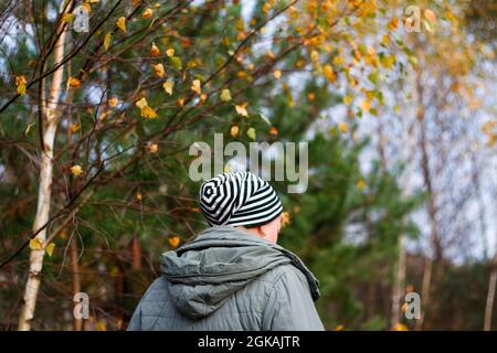 Unschärfe-Rückansicht einer jungen Frau in gestreiftem Hut, die im gelben und grünen Herbstwald läuft. Natürlicher Herbsthintergrund.Wellness und Harmonie. Birke, p Stockfoto