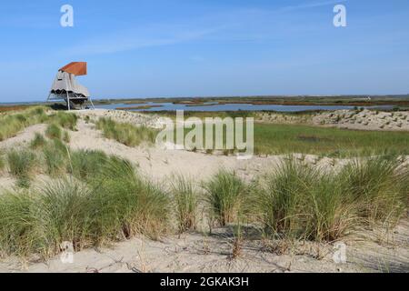 Landschaft mit Vogelbeobachtungsturm mit Blick auf Sümpfe auf der künstlichen Insel des Archipels Marker Wattenmeer im See Markermeer, Niederlande Stockfoto