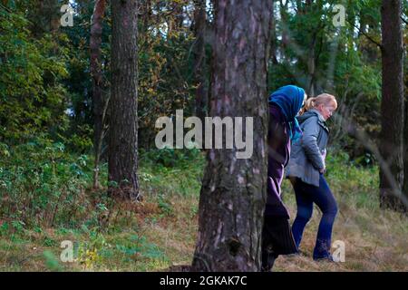 Unschärfe-Seitenansicht zwischen dem Stamm von zwei Frauen, die im Pinienwald spazieren. Pilze sammeln Saison, Freizeit und Menschen Konzept, Mutter und Tochter zu Fuß in Stockfoto