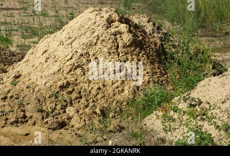 Sandhaufen auf einer verlassenen Baustelle, die bereits mit Gras und Unkraut überwuchert ist Stockfoto