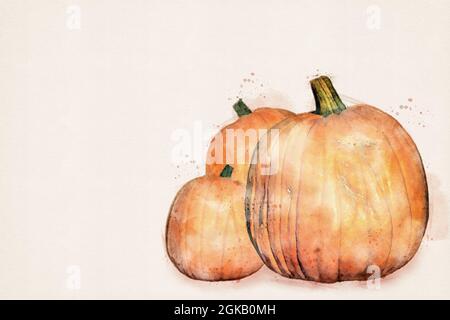 Kürbis. Essbare orange Halloween Kürbisse. Ernte im Herbst, Erntedankfest. Aquarelle, Aquarellillustration mit Kopierraum. Stockfoto