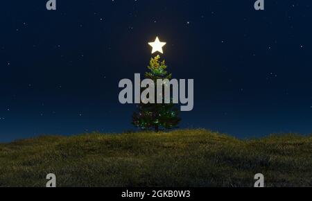 Weihnachtsbaum auf einer grünen Wiese in der sternenklaren Nacht mit einem leuchtenden Stern auf der Oberseite. 3d-Rendering Stockfoto