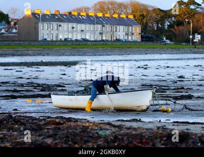 Ein Fischer holt das überschüssige Wasser aus seinem Boot, während die Sonne über der Irischen See am Ballywalter Beach in Co. Down, Nordirland, untergeht. Stockfoto