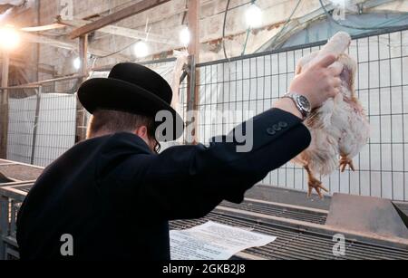 Ein ultra-orthodoxer Jude schwingt ein Huhn über seinen Kopf, während er die Kapparot-Zeremonie vor Yom Kippur im Viertel Mea Shearim, einer ultra-orthodoxen Enklave in Jerusalem, Israel, durchführt. Kapparot ist ein übliches Sühneritual, das von einigen religiösen Juden praktiziert wird, bei dem die Sünden einer Person symbolisch auf ein Geflügel übertragen und dann am Nachmittag vor Yom Kippur geopfert werden. Der Versöhnungstag, der als einer der heiligsten und feierlichsten Tage des jüdischen Kalenders gilt. Stockfoto