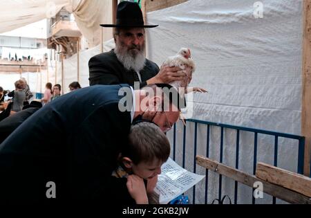 Ein ultra-orthodoxer jüdischer Mann schwingt ein Huhn über den Kopf eines Mitglieds seiner Familie, während er die Kapparot-Zeremonie vor Yom Kippur im Viertel Mea Shearim, einer ultra-orthodoxen Enklave in Jerusalem, Israel, durchführt. Kapparot ist ein übliches Sühneritual, das von einigen religiösen Juden praktiziert wird, bei dem die Sünden einer Person symbolisch auf ein Geflügel übertragen und dann am Nachmittag vor Yom Kippur geopfert werden. Der Versöhnungstag, der als einer der heiligsten und feierlichsten Tage des jüdischen Kalenders gilt. Stockfoto