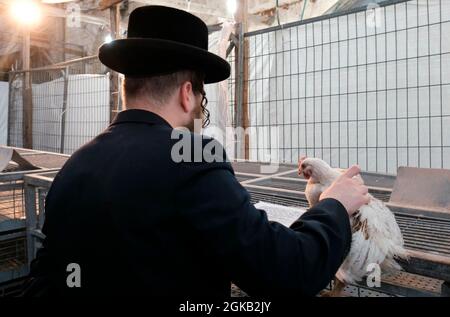 Ein ultra-orthodoxer Jude hält ein Huhn, während er die Kapparot-Zeremonie vor Yom Kippur im Viertel Mea Shearim, einer ultra-orthodoxen Enklave in Jerusalem, Israel, durchführt. Kapparot ist ein übliches Sühneritual, das von einigen religiösen Juden praktiziert wird, bei dem die Sünden einer Person symbolisch auf ein Geflügel übertragen und dann am Nachmittag vor Yom Kippur geopfert werden. Der Versöhnungstag, der als einer der heiligsten und feierlichsten Tage des jüdischen Kalenders gilt. Stockfoto