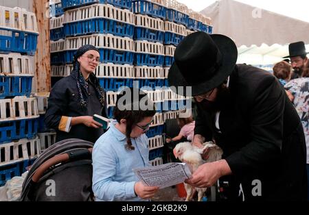 Ein ultra-orthodoxer jüdischer Mann hält ein Huhn, während er die Kapparot-Zeremonie vor Yom Kippur im Viertel Mea Shearim, einer ultra-orthodoxen Enklave in Jerusalem, Israel, durchführt. Kapparot ist ein übliches Sühneritual, das von einigen religiösen Juden praktiziert wird, bei dem die Sünden einer Person symbolisch auf ein Geflügel übertragen und dann am Nachmittag vor Yom Kippur geopfert werden. Der Versöhnungstag, der als einer der heiligsten und feierlichsten Tage des jüdischen Kalenders gilt. Stockfoto