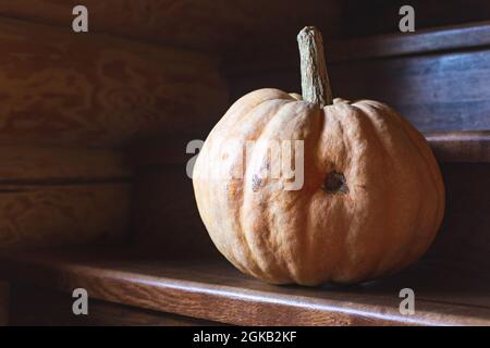 Auf den Stufen einer Holztreppe liegt ein reifer großer orangefarbener Kürbis. Halloween, Thanksgiving. Traditionelles Urlaubsgemüse. Herbsthintergrund Stockfoto