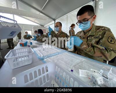 Miami, FL (2. März 2021) – Soldaten, die ein Miami-Dade Community Vaccine Center unterstützen, füllen Spritzen mit COVID-19-Impfungen, damit sich die Gemeinschaft daran erinnert, den Impfstoff erhalten zu haben. Stockfoto