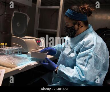 YOKOSUKA, Japan (2. März 2021) - Apprille Hardegree aus San Diego, Labortechnologin der Naval Medical Research Unit 2 (NAMRU-2), preps medizinische Testkits während einer COVID-19-Forschungsstudie an Bord des US-Flaggschiffs USS Blue Ridge (LCC 19) der 7. Flotte. NAMRU-2 ist an Bord, um Proben von Seeleuten zu beschaffen, die sich freiwillig für die Forschungsstudie Survey of Immune Response to Coronavirus Disease 2019 Infections (SIM-COVID) bereit erklärt haben. SIM-COVID ist Teil der Navy-weiten Initiative zur Erforschung der Verbreitung von COVID-19-Infektionen in der Flotte. Blue Ridge ist die älteste betriebsbereite s Stockfoto