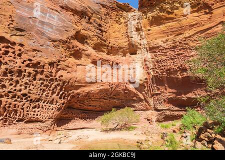 Blick auf die Honeycomb Gorge, ein faszinierendes Merkmal, das durch Wind- und Wassersprühnebel aus einem saisonalen Wasserfall über der Felswand gebildet wird, Kennedy Range National P Stockfoto