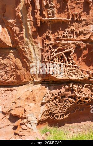 Vertikale Ansicht und Details der Honeycomb Gorge, ein faszinierendes Merkmal, das durch Wind- und Wasserstrahl von einem saisonalen Wasserfall über der Felswand, Ken, gebildet wird Stockfoto