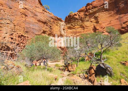 Blick auf die Honeycomb Gorge, ein faszinierendes Merkmal, das durch Wind- und Wassersprühnebel aus einem saisonalen Wasserfall über der Felswand gebildet wird, Kennedy Range National P Stockfoto