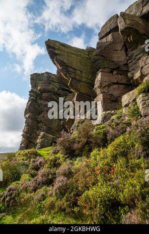 The Worm Stones, ein Grabstein in den Hügeln oberhalb von Glossop am High Peak, Derbyshire, England. Heidekraut blüht auf den Mooren unten. Stockfoto