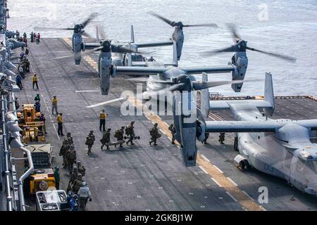 ATLANTISCHER OZEAN (Mach 4, 2021) Marineinfanteristen, die der 24. Marine Expeditionary Unit (24. MEU) zugewiesen sind, an Bord eines MV-22 Fischadlers, der an Marine Medium Tiltrotor Squadron (VMM) 162 (verstärkt) angeschlossen ist, als Teil einer Routineübung mit der Iwo Jima Amphibious Ready Group, 4. März 2021. Iwo Jima führt als Teil der Iwo Jima Amphibious Ready Group ein Training mit dem Amphibiengeschwader 4 und der 24. Marine Expeditionary Unit (24. MEU) durch. Stockfoto