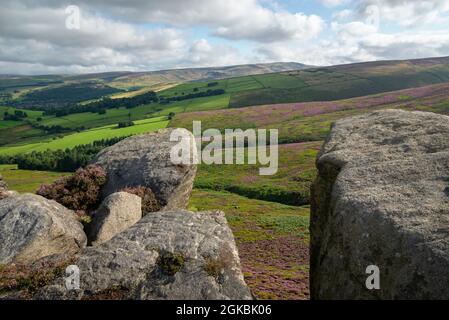 The Worm Stones, ein Grabstein in den Hügeln oberhalb von Glossop am High Peak, Derbyshire, England. Heidekraut blüht auf den Mooren unten. Stockfoto