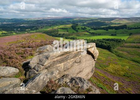 The Worm Stones, ein Grabstein in den Hügeln oberhalb von Glossop am High Peak, Derbyshire, England. Heidekraut blüht auf den Mooren unten. Stockfoto