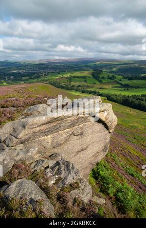 The Worm Stones, ein Grabstein in den Hügeln oberhalb von Glossop am High Peak, Derbyshire, England. Heidekraut blüht auf den Mooren unten. Stockfoto