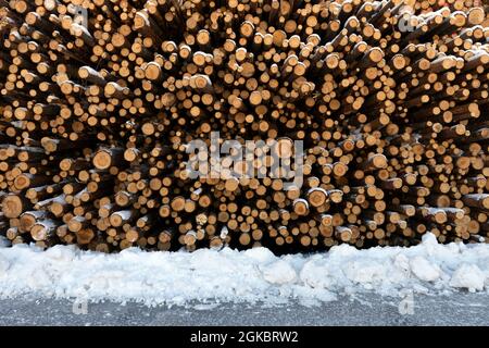 Haufen von Baumstämmen. Gesägte Bäume aus dem Wald. Holzfäller Holzindustrie. Stockfoto