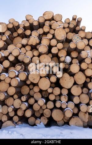 Haufen von Baumstämmen. Gesägte Bäume aus dem Wald. Holzfäller Holzindustrie. Stockfoto