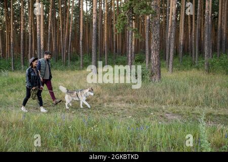 Glückliches junges Paar in Casualwear und ihr Haustier Hund, der im Wald spazieren geht Stockfoto