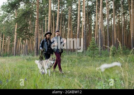 Glücklicher junger Mann und Frau, die sich unterhalten, während sie sich auf einem Fußweg, umgeben von Kiefernwäldern, im Park oder im Wald bewegen Stockfoto