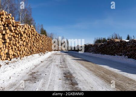 Haufen von Baumstämmen. Gesägte Bäume aus dem Wald. Holzfäller Holzindustrie. Schneiden Sie Bäume entlang einer für den Transport vorbereiteten Straße. Stockfoto