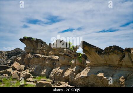 Die Erosion des Ozeans und Verwitterung. Bildet seltsame Felsen und Steine. Fugang Geopark (Xiaoyeliu), Naturstein-Skulpturenpark. Taitung County Stockfoto