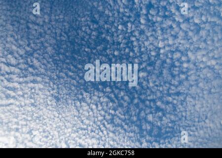 Viele Altocumuluswolken am blauen Himmel über England, Stockfoto