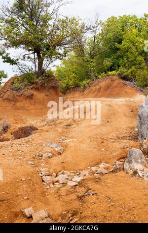 Einsamer Baum auf dem Hügel, ländliche Landschaft. Albanische Natur Einsamer Baum auf dem Hügel, ländliche Landschaft. Albanische Natur