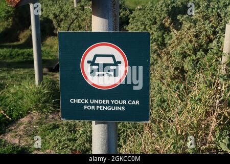 Lustiges Warnschild, auf dem steht, dass Sie unter Ihrem Auto auf dem Parkplatz in der Nähe von Boulders Beach, Cape Peninsula, Kapstadt, Südafrika nach Pinguinen suchen sollen Stockfoto