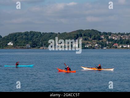 South Queensferry, Edinburgh, Schottland 7. September 2021 - drei Kajaks auf dem River Forth bei Queensferry an einem sonnigen Tag mit klarem Himmel. Stockfoto