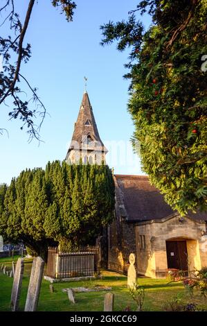 St Mary the Virgin Church in der Hayes Street in Hayes, Kent, Großbritannien. Diese Feuersteinkirche wurde ursprünglich im 13. Jahrhundert erbaut. Stockfoto