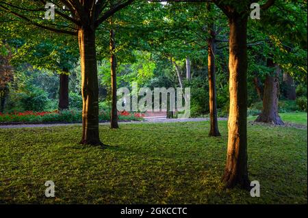 The Knoll, ein kleiner Park in Hayes, Kent, Großbritannien. Bäume im Knoll-Park mit der Sonne, die die Baumstämme mit dem Parktor dahinter erhellt. Stockfoto