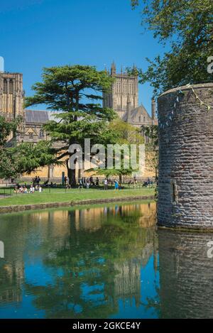 Bishop's Palace Gardens, Blick im Sommer auf die Wells Cathedral und die nordwestliche Ecke der Bishop's Palace Gardens und des Grabens, Somerset, England, Großbritannien Stockfoto