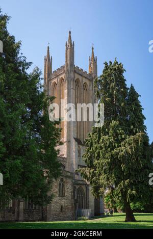 Kirchturm England, Blick auf den mittelalterlichen Turm von St. Cuthbert's, flankiert von Eibenbäumen in Wells, Somerset, England, Großbritannien Stockfoto