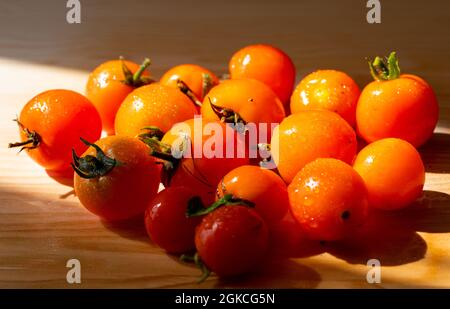 Frische Tumbling Tom Tomaten komplett mit ihren Stielen und kleinen Tropfen Wasser auf einem hölzernen Schneidebrett Stockfoto