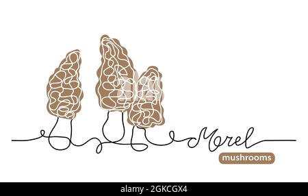 Petty Morel Wildpilze eine Linie Kunst Zeichnung. Einfache Vektorliniebilderung mit Schriftzug Petty Morelpilze Stock Vektor