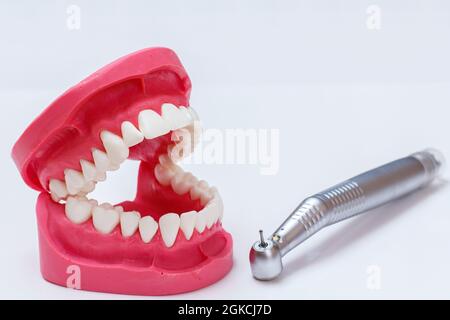 Kopf der High-Speed-Dental-Handstück mit Bohrer und ein Layout des menschlichen Kiefers auf dem weißen Hintergrund. Zahnärztliche Instrumente für die zahnärztliche Behandlung. Nahaufnahme Stockfoto