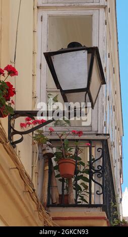 Alte Laterne an einer Wand mit Blumen, Cisz, Spanien Stockfoto