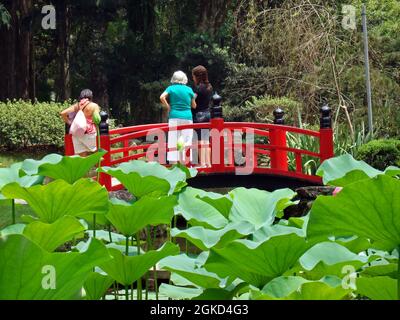 Menschen auf einer kleinen roten Brücke im japanischen Garten, Rio Stockfoto